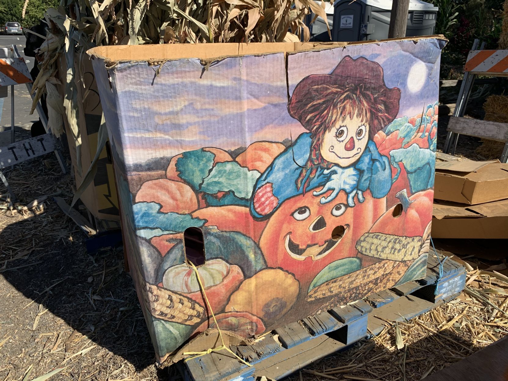 Pumpkin patch 2020